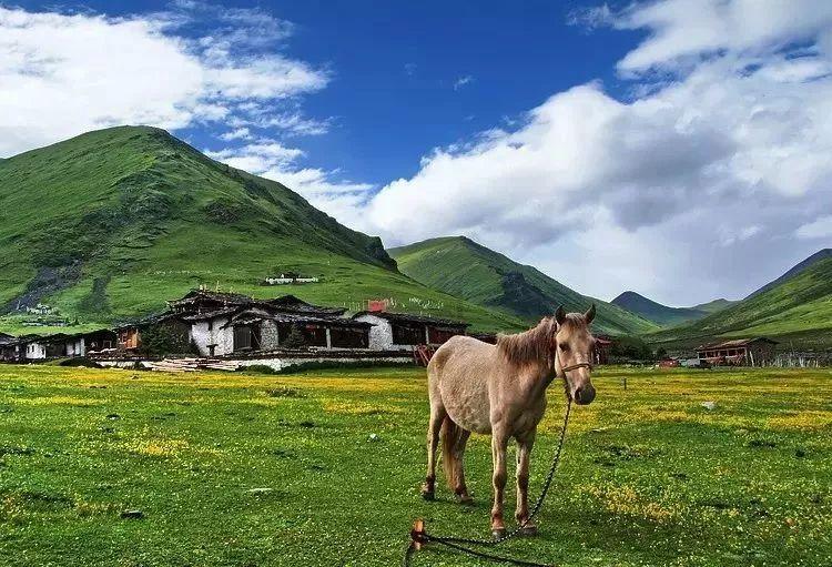 爱旅行的芭比